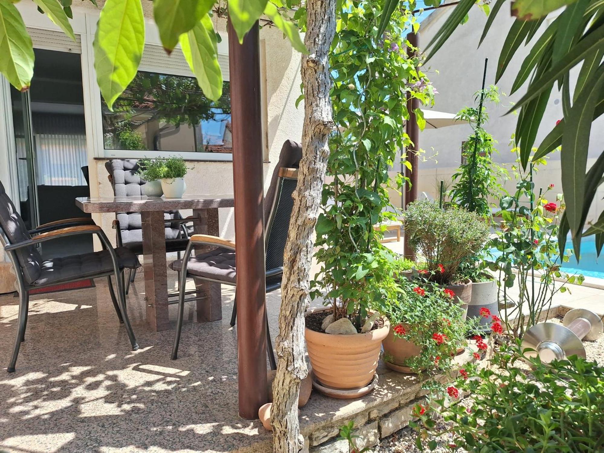 פאז'אנה Villa Kamelija מראה חיצוני תמונה
